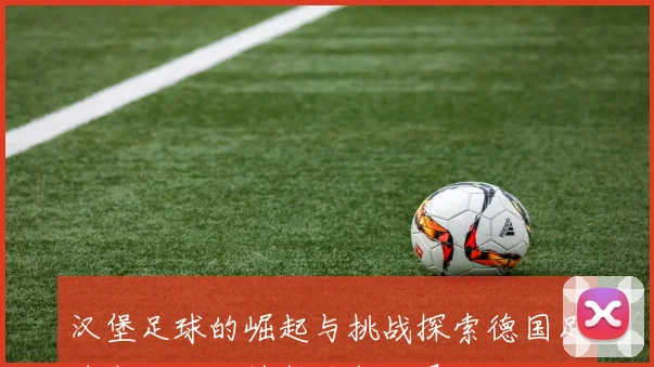 汉堡足球的崛起与挑战探索德国足球文化的独特魅力与发展历程