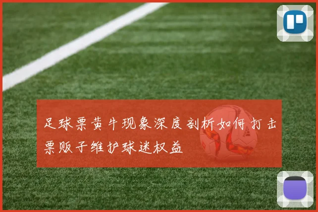 足球票黄牛现象深度剖析如何打击票贩子维护球迷权益