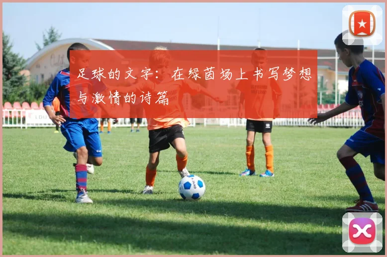 足球的文字：在绿茵场上书写梦想与激情的诗篇