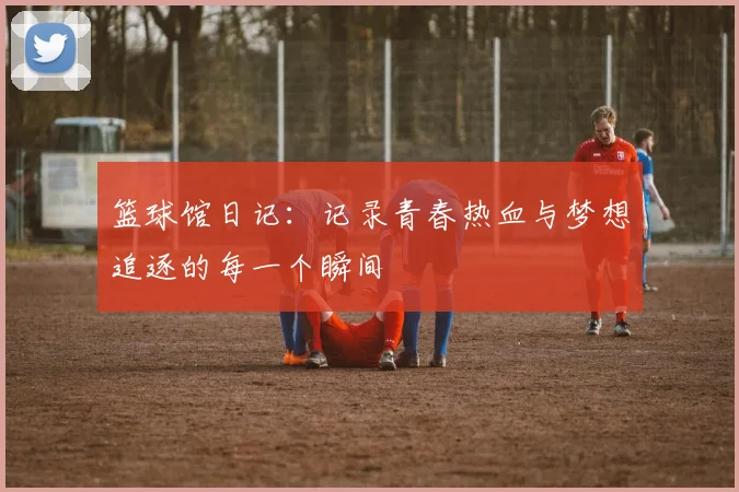 篮球馆日记：记录青春热血与梦想追逐的每一个瞬间