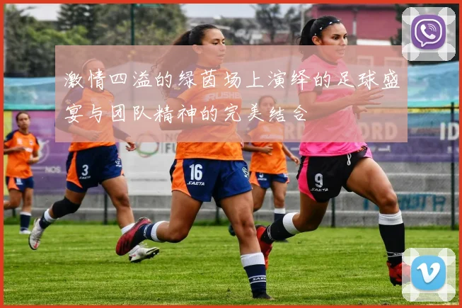 激情四溢的绿茵场上演绎的足球盛宴与团队精神的完美结合