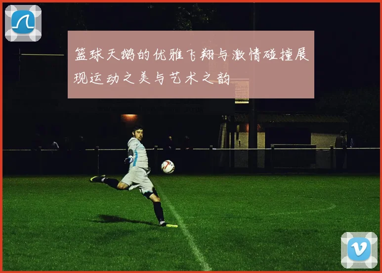 篮球天鹅的优雅飞翔与激情碰撞展现运动之美与艺术之韵