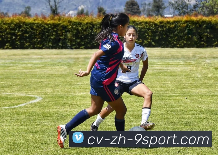 九游官网服务体系